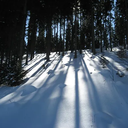 Schneemann * Hohegeiss